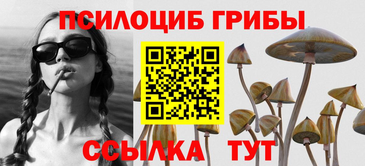 Псилоцибиновые грибы прущие грибы  Вход с VPN  Псилоцибиновые грибы мухоморы  Надым 
